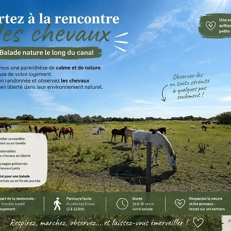 Vakantiehuis Refuge De La Glycine - 2 - Literie Premium